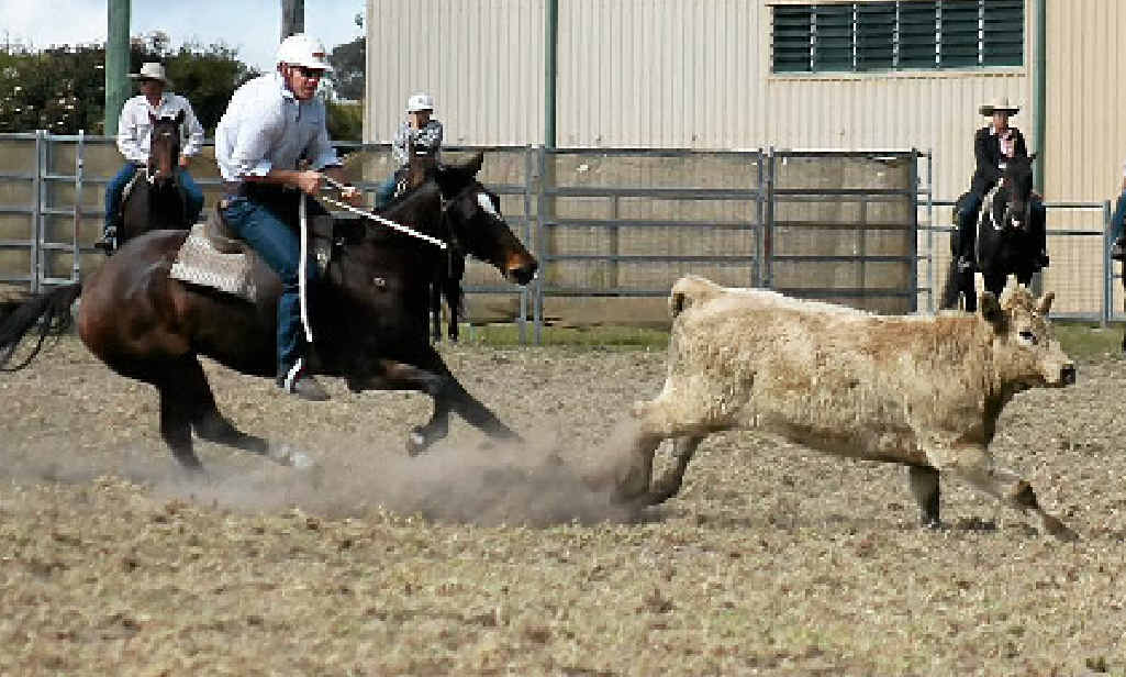 IN ACTION: Anthony Baker, from Stanthorpe, in the novice draft. IN ACTION: Anthony Baker, from Stanthorpe, in the novice draft.